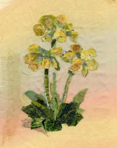 Cowslips