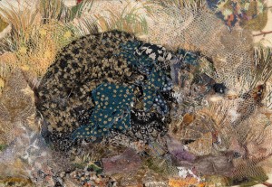 Hedgehog II - Copy