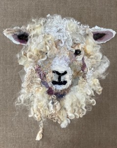 Cotswold Sheep #38