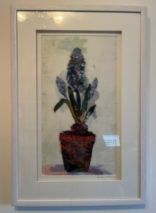 Hyacinth
